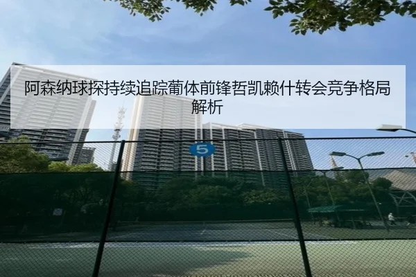 阿森纳球探持续追踪葡体前锋哲凯赖什转会竞争格局解析